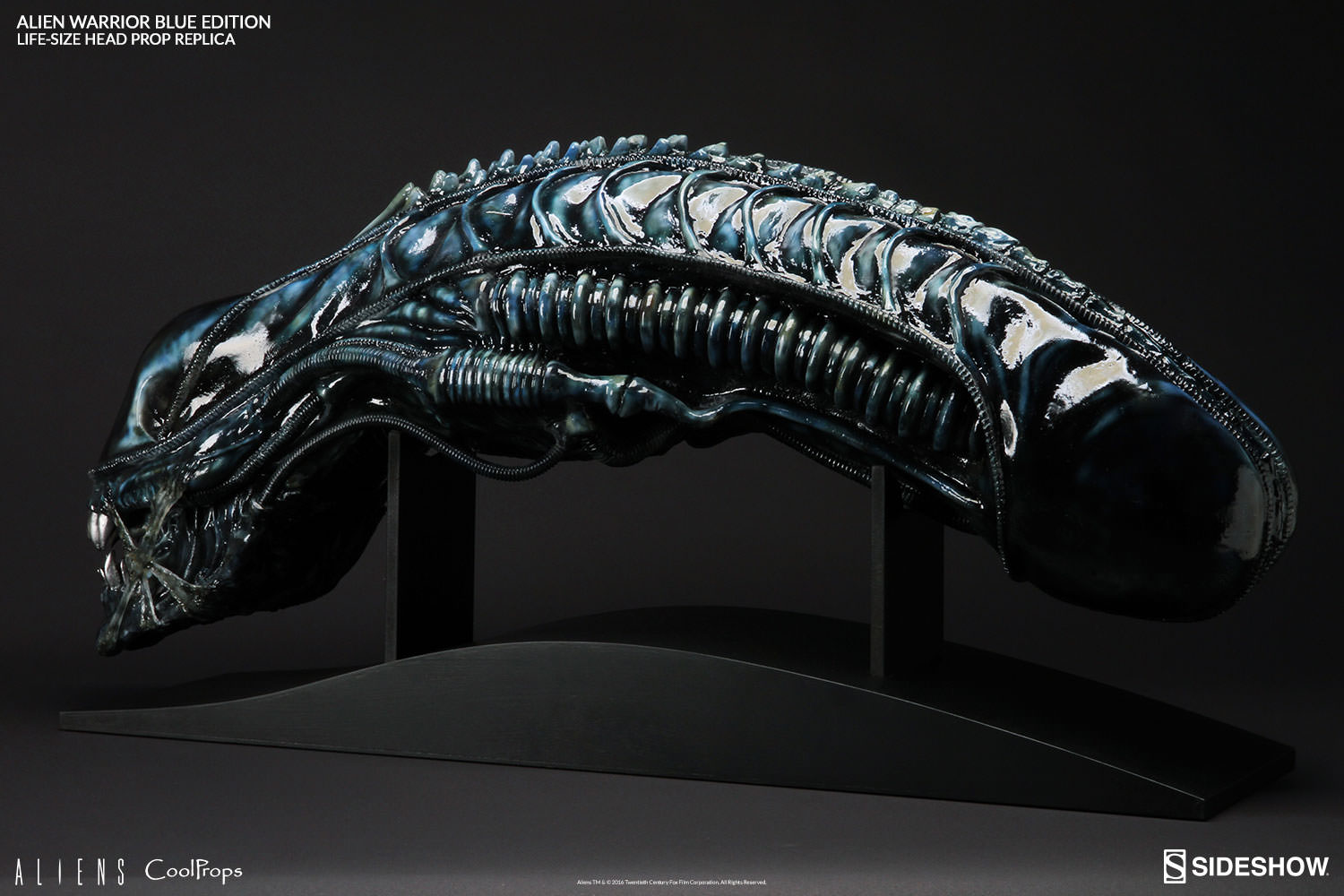 Alien Warrior Blue Edition Life-Size Head- Prototype Shown