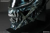 Gallery Image of Alien Warrior Blue Edition Life-Size Head Prop Replica