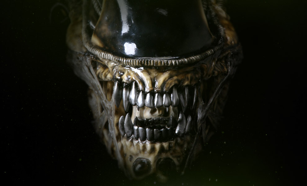 alien-warrior-life-size-head_aliens_feature.jpg