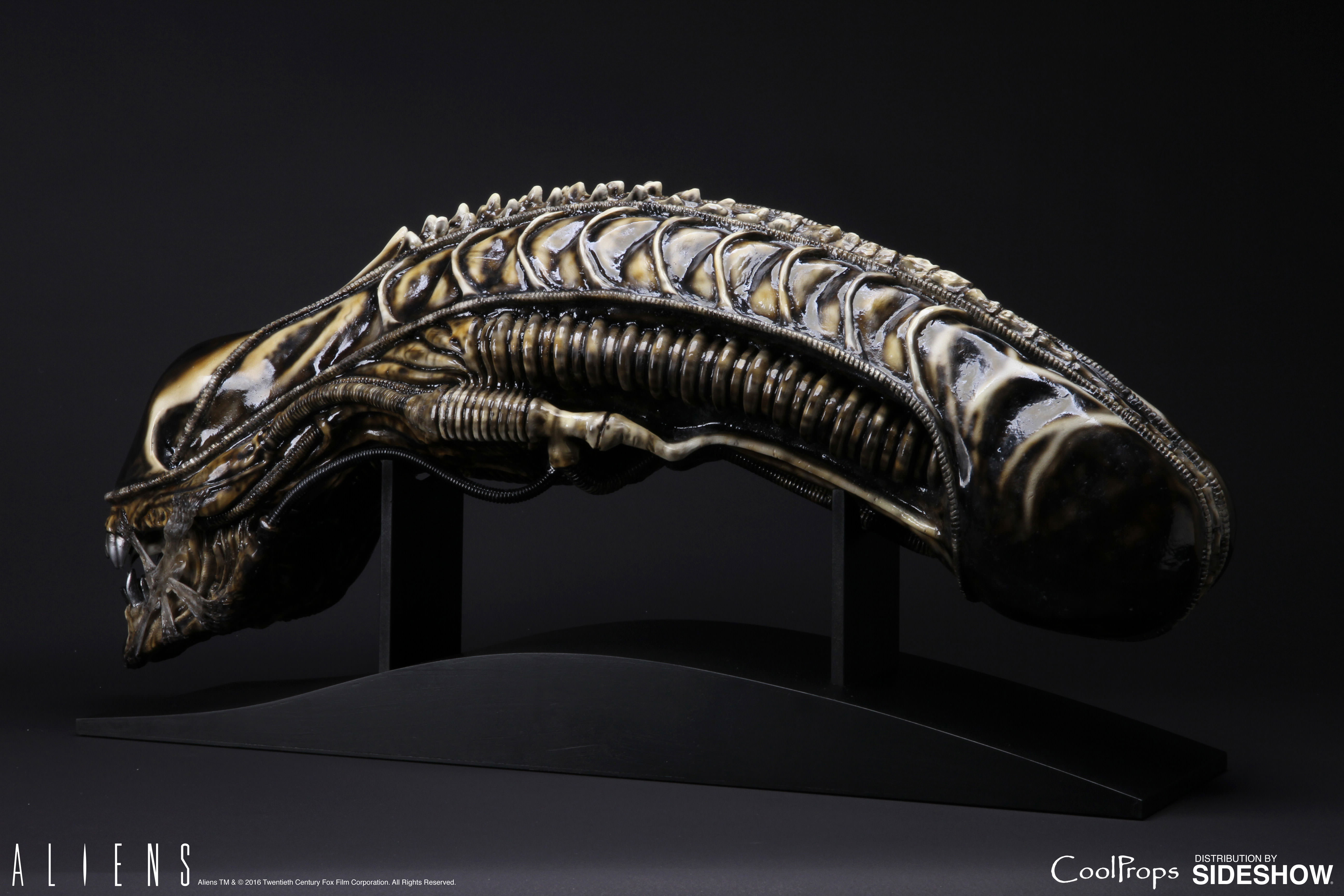 Alien Warrior Life-Size Head- Prototype Shown