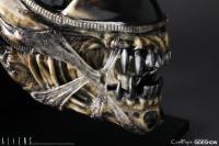 Gallery Image of Alien Warrior Life-Size Head Prop Replica