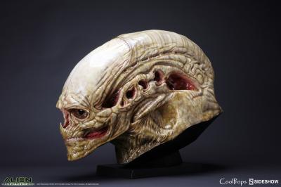 Alien Newborn Life-Size Head- Prototype Shown