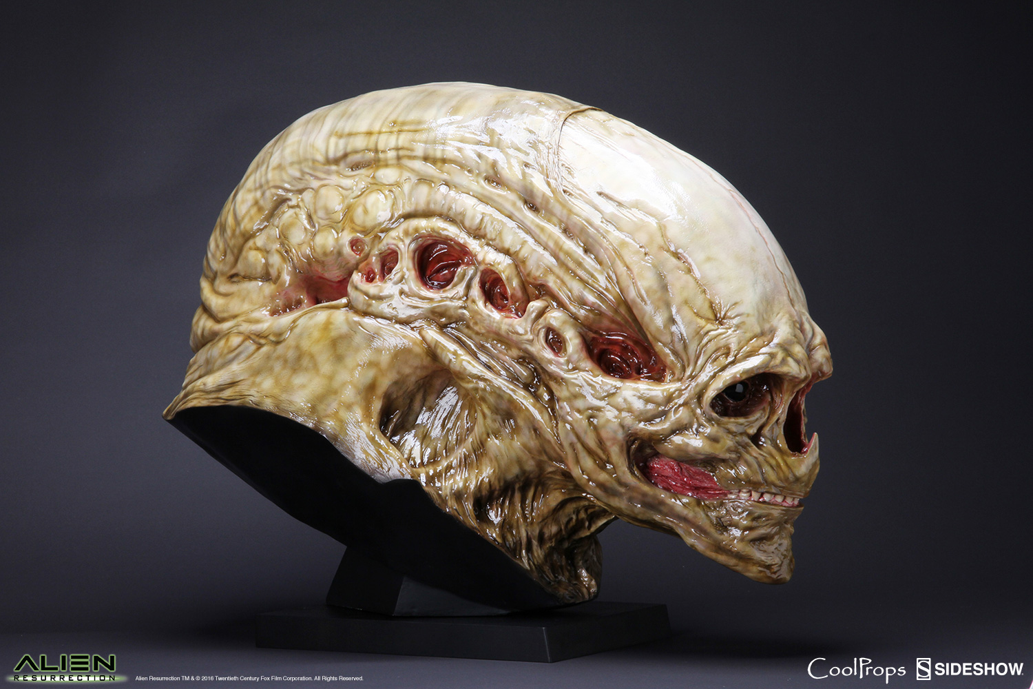 Alien Newborn Life-Size Head- Prototype Shown