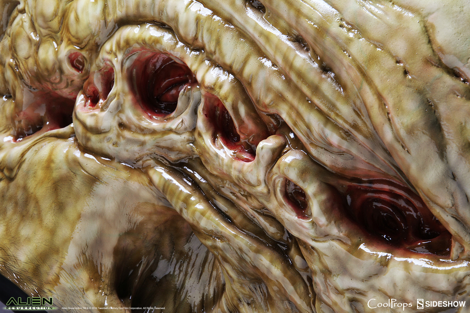 Alien Newborn Life-Size Head