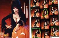 Gallery Image of Elvira Mistress of the Dark Book