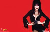 Gallery Image of Elvira Mistress of the Dark Book