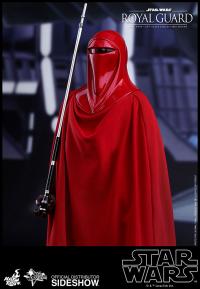Gallery Image of Royal Guard Sixth Scale Figure
