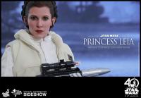 Gallery Image of Princess Leia Sixth Scale Figure