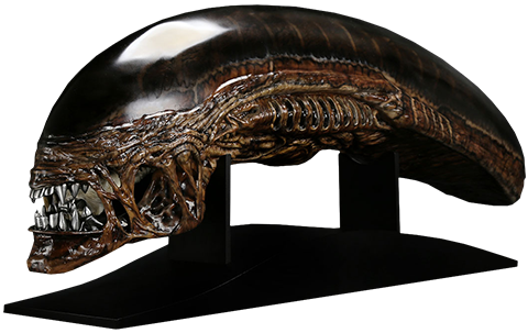 Alien Alien New Warrior Life Size Head Prop Replica By Coolp Sideshow Collectibles