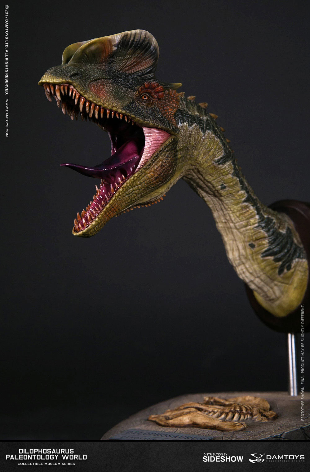 dilophosaurus head