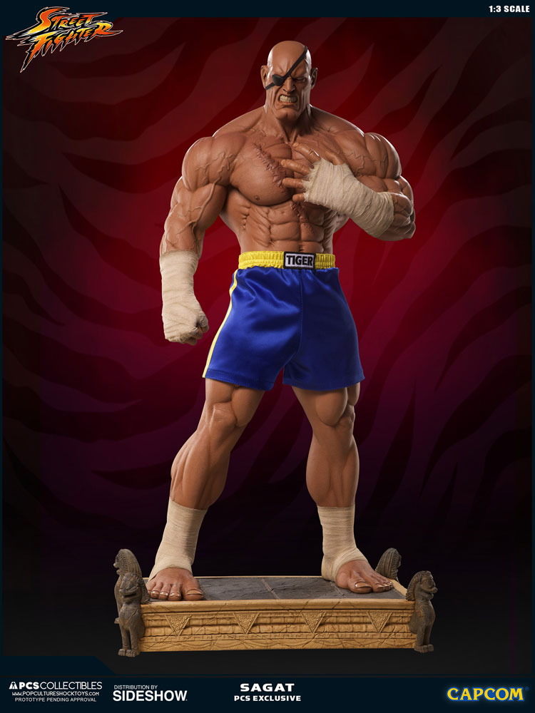sideshow street fighter