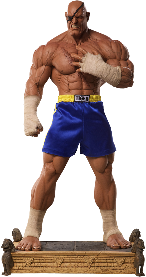 sagat figure