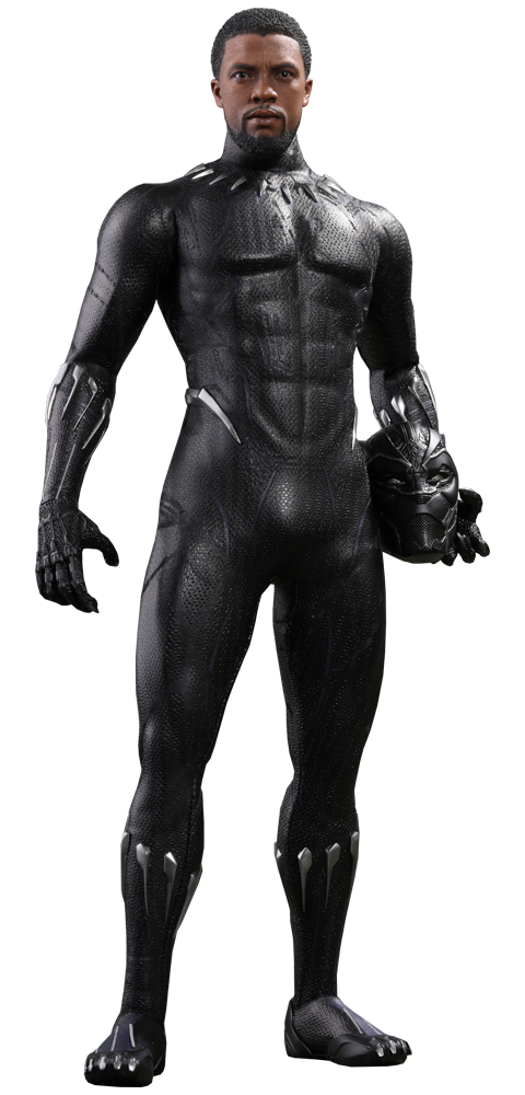Hot Toys Black Panther Sixth Scale Figure