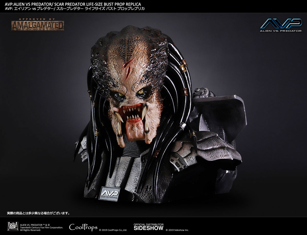 Alien Vs Predator Scar Predator Life Size Bust By Coolprops Sideshow Collectibles