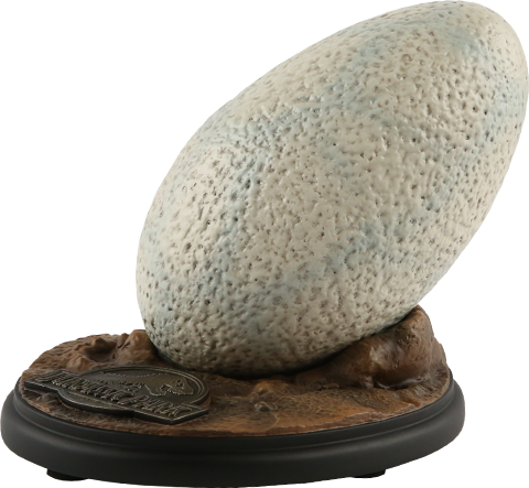 velociraptor egg fossil