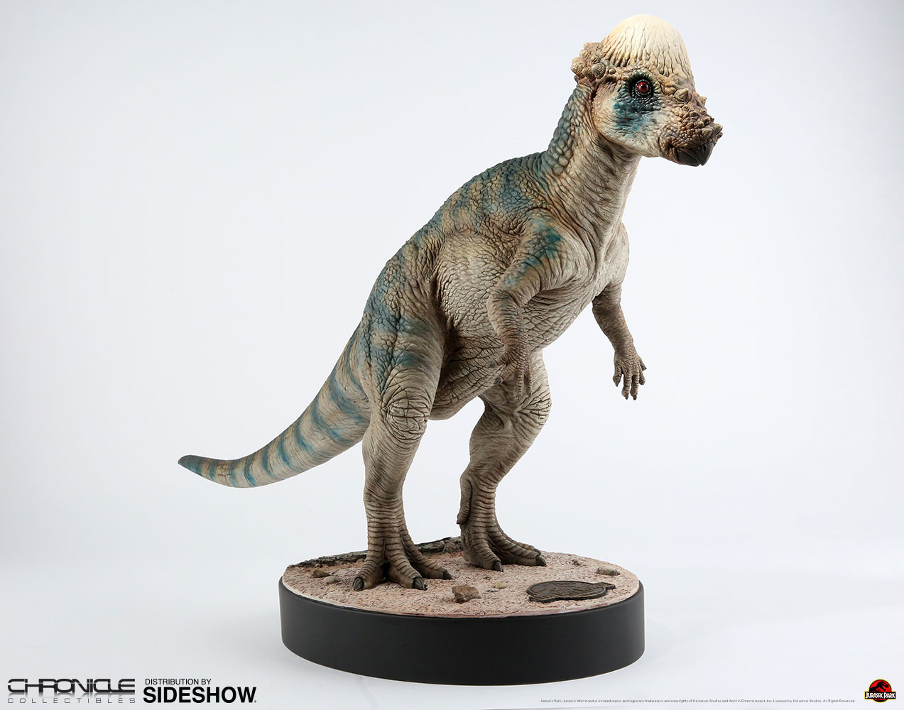 pachycephalosaurus amazon
