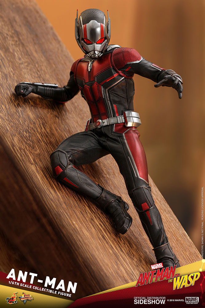 hot toys ant man