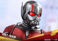 Gallery Image of Ant-Man Sixth Scale Figure