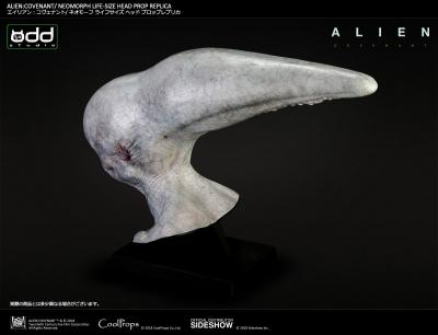 Neomorph Life-Size Head- Prototype Shown