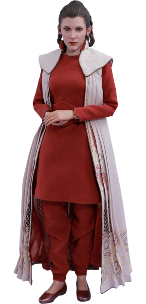 Free Free 250 Star Wars Princess Leia Png SVG PNG EPS DXF File