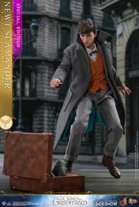Gallery Image of Newt Scamander Special Edition Sixth Scale Figure