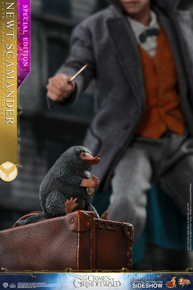 hot toys newt scamander