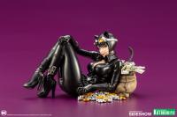 Gallery Image of Catwoman Returns Statue