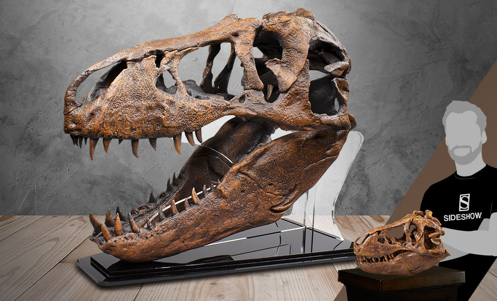 T-Rex Skull Quarter Scale Replica | Sideshow Collectibles