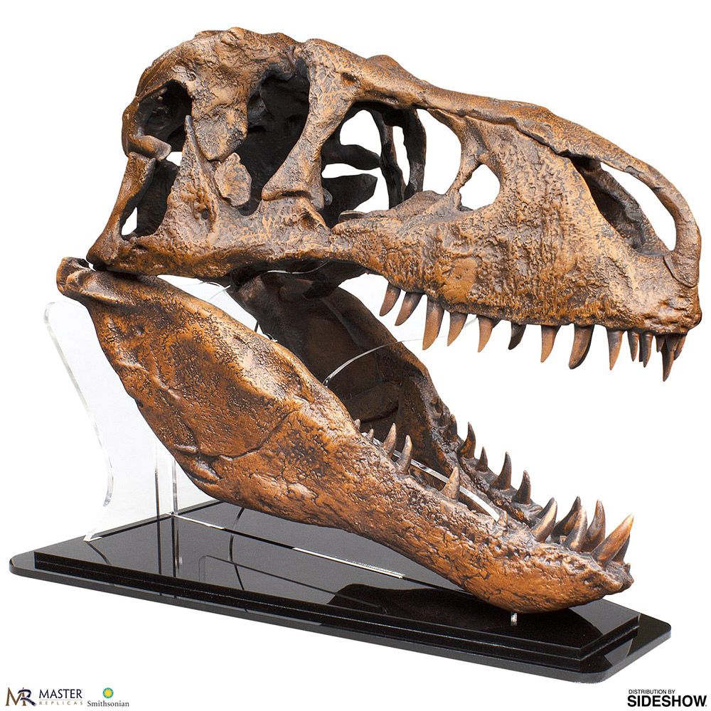 skull of t rex