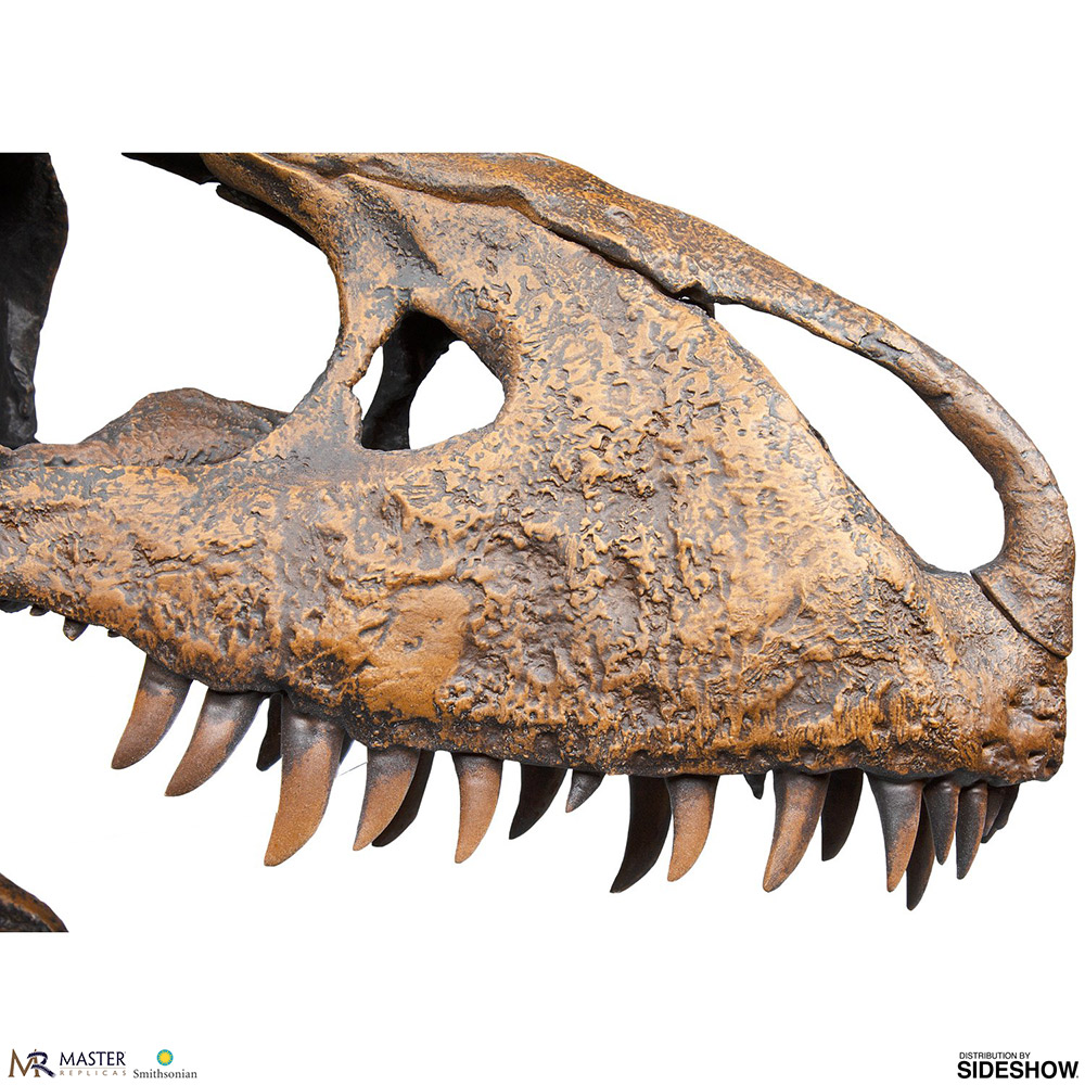 trex skull price