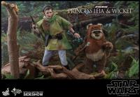 Gallery Image of Princess Leia & Wicket Sixth Scale Figure Set