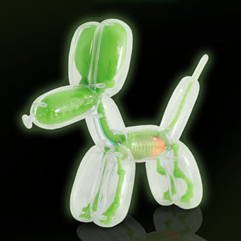 balloon-dog-anatomy-glow-in-