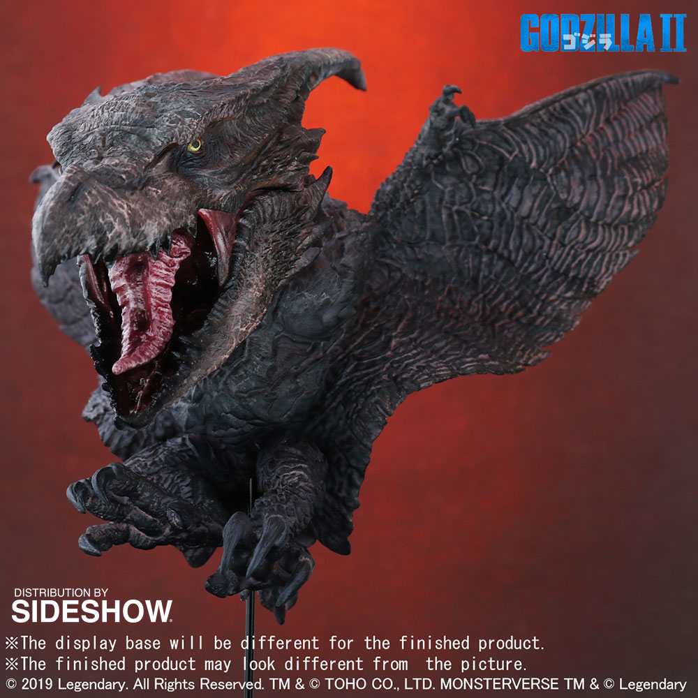 x plus rodan 2019