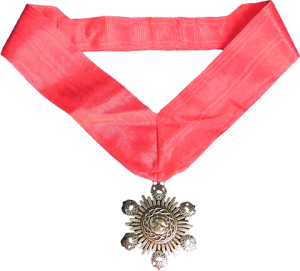 The Medallion of Dracula