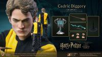 Gallery Image of Cedric Diggory (Tri-Wizard Version) Sixth Scale Figure