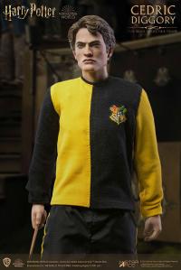 Gallery Image of Cedric Diggory (Tri-Wizard Version) Sixth Scale Figure