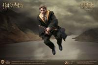 Gallery Image of Cedric Diggory (Deluxe Version) Sixth Scale Figure
