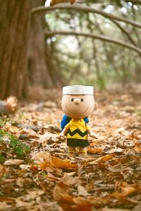 Gallery Image of Charlie Brown Vinyl Collectible