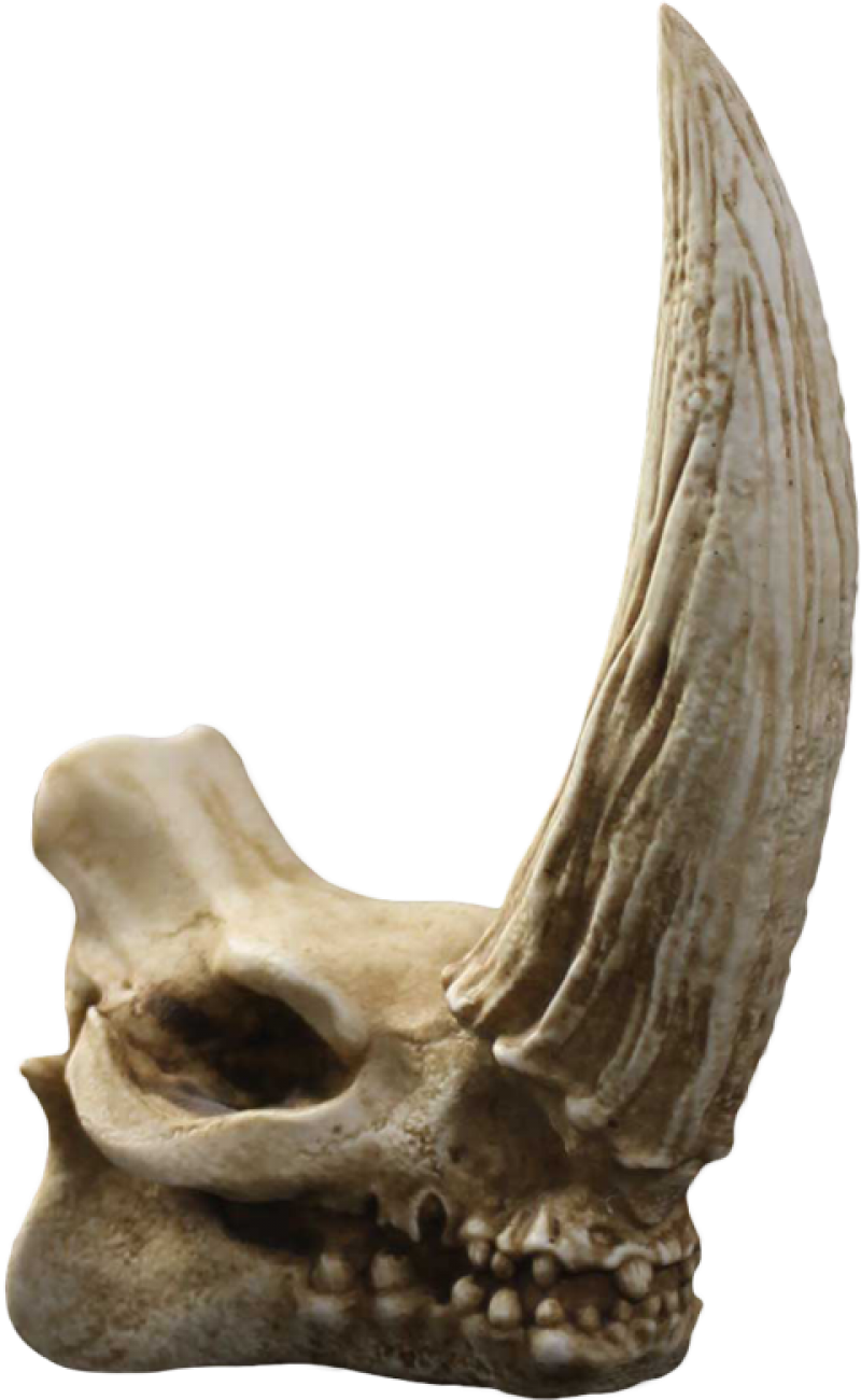 Mudhorn Skull Statues by Regal Robot