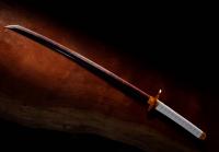 Gallery Image of Nichirin Sword (Kyojuro Rengoku) Replica
