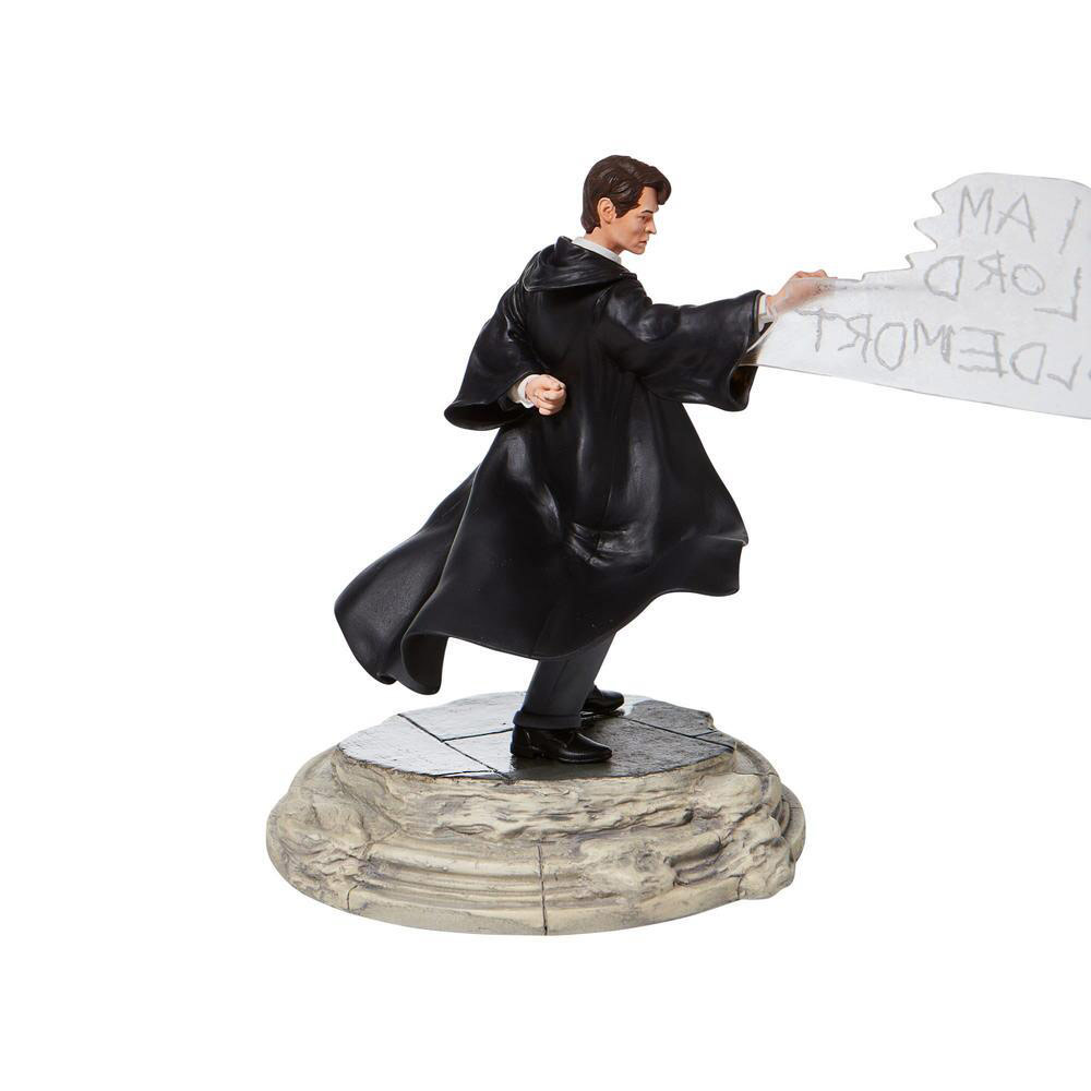 tom riddle figure