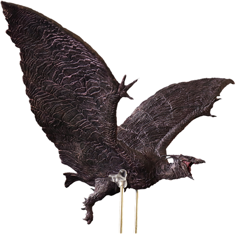 x plus rodan 2019