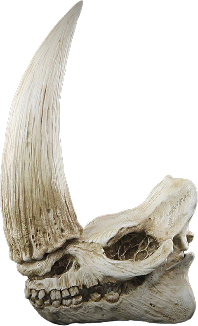 Mudhorn Skull Wall Decor Statues by Regal Robot