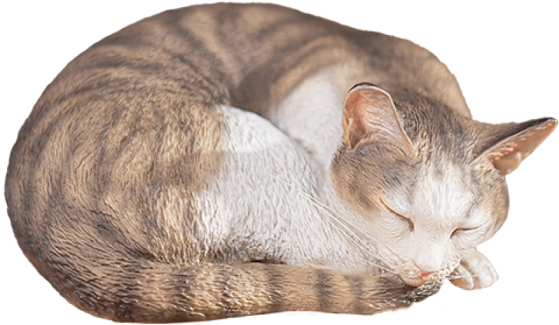 Sleeping Tabby Cat Statues by Manas SUM