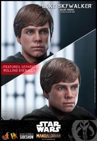 Gallery Image of Luke Skywalker (Deluxe Version) (Special Edition) Sixth Scale Figure