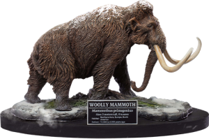 Collector Edition