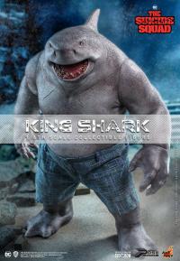 Gallery Image of King Shark Sixth Scale Figure
