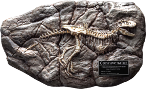 Fossil Replica