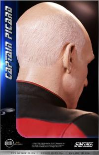 Gallery Image of Captain Picard 1:3 Scale Statue