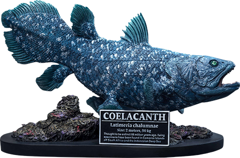 Star Ace Toys Ltd. Coelacanth Statue